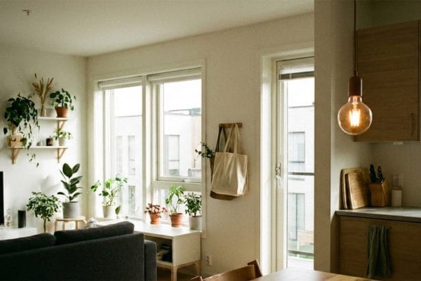 Sustainable daily habits for a greener lifestyle