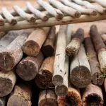 Sustainable Lifestyle Materials