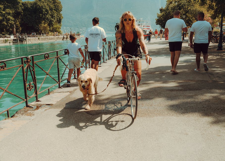 Grasping Stablecoin Dynamics Simply Stablecoin Dynamics