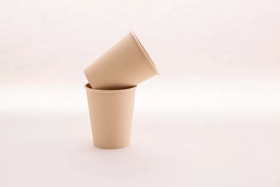 Reusable bottle, bags, and containers replacing single-use plastic