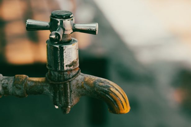 Water conservation home habits that reduce waste
