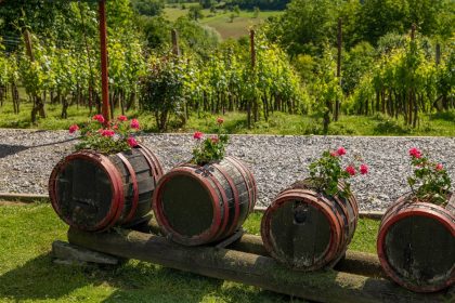 Rainwater Harvesting