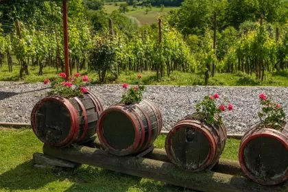 Rainwater Harvesting