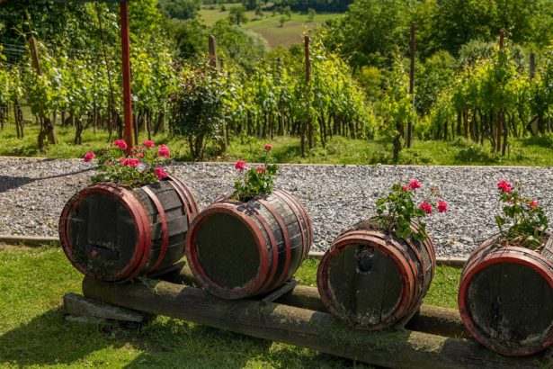 Rainwater Harvesting